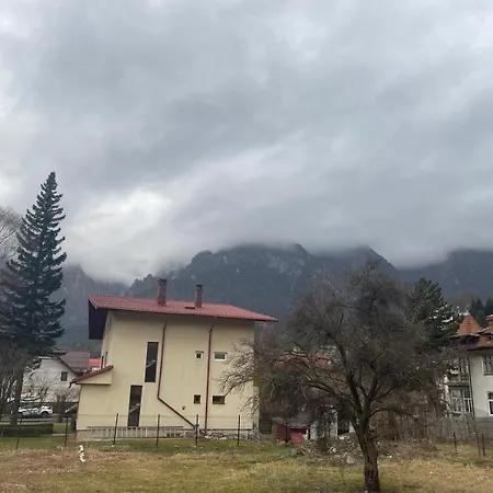 Pensiunea Farfuria Plina Hotel Buşteni
